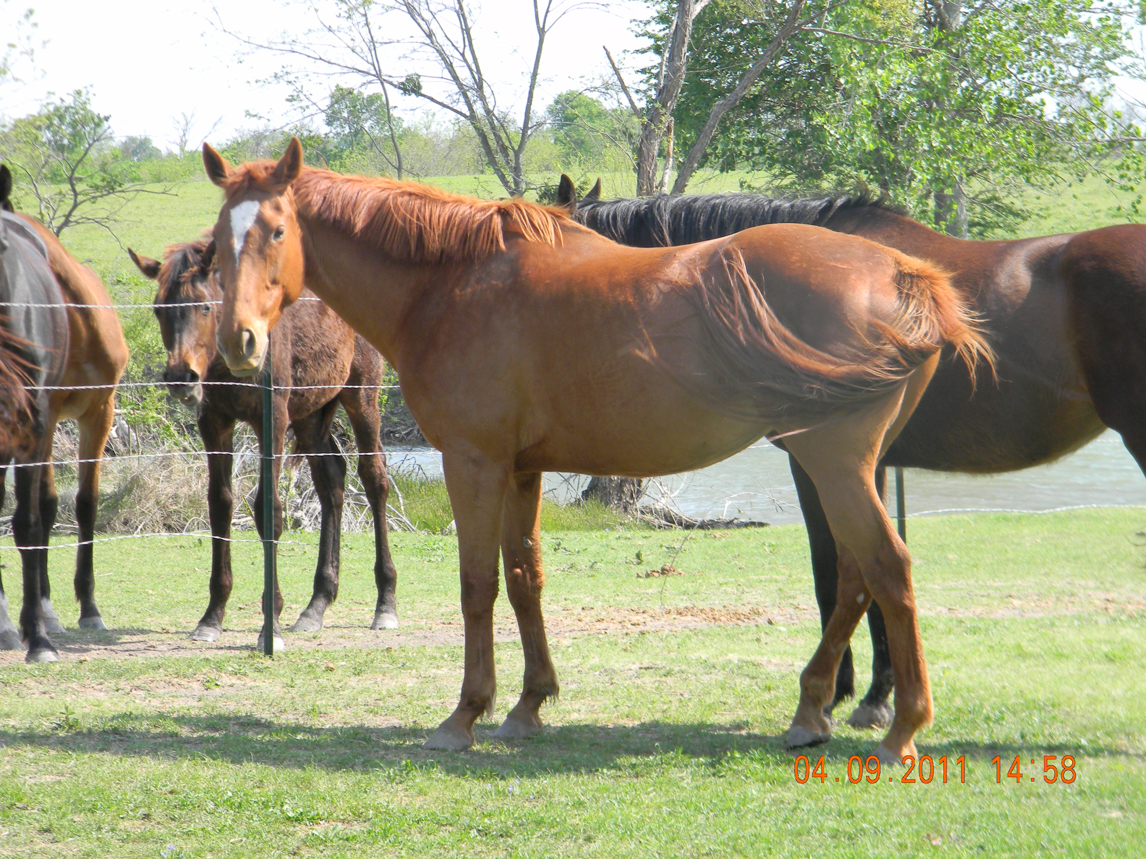 dscn3124.jpg