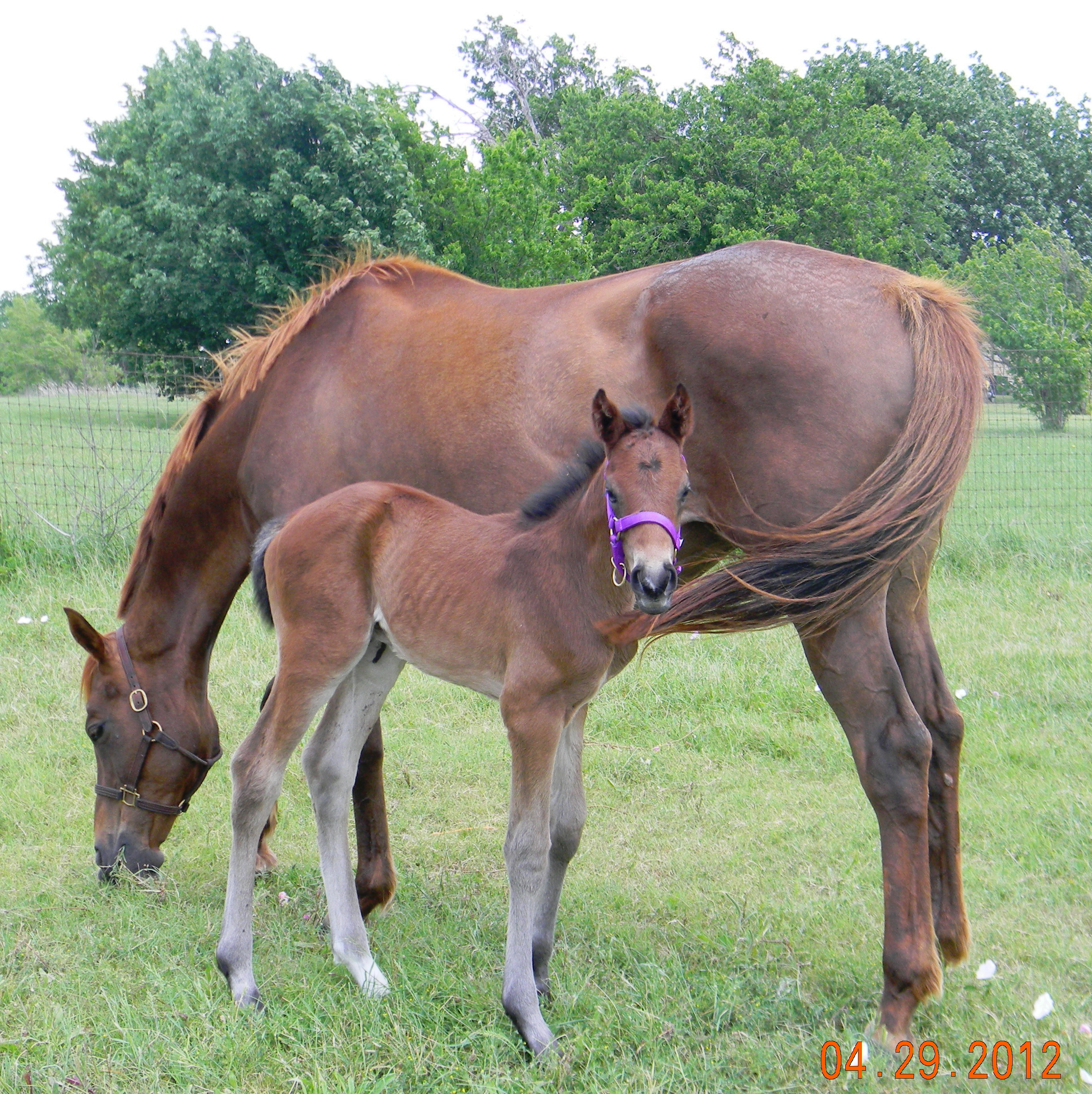 dscn6398.jpg